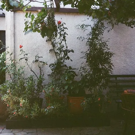 Studio On The Square Daire Argalastí